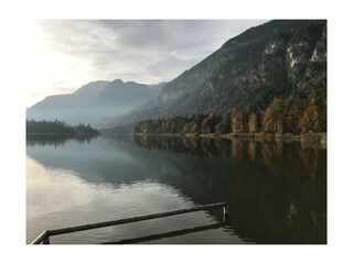 PHOTO-2019-12-03-20-18-18_5