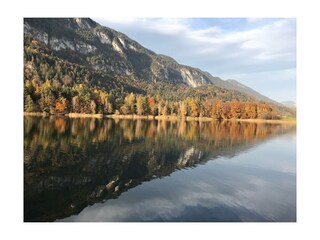 PHOTO-2019-12-03-20-18-18_6