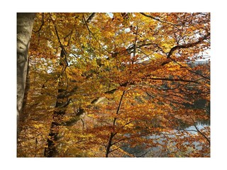 PHOTO-2019-12-03-20-18-18_3