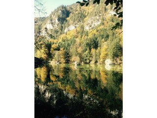 PHOTO-2019-12-03-20-28-51