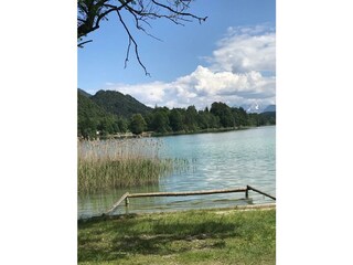 PHOTO-2019-12-03-20-18-18