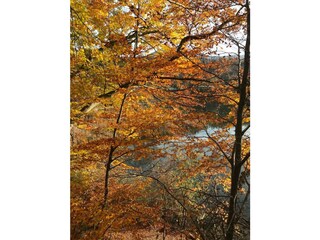 PHOTO-2019-12-03-20-18-18_2