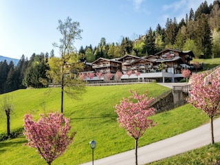 Das Kaltenbach im Frühling