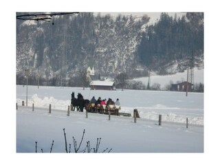 Pferdekutschenfahrten