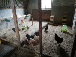 Ferienwohnungen_Reinhilde_Hauser_Medihof_Radfeld