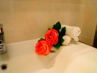 zillertal_ersteferienregion_Deko3