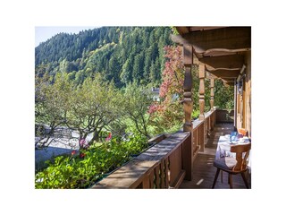 Balkon Südseite Appartment Viktoria