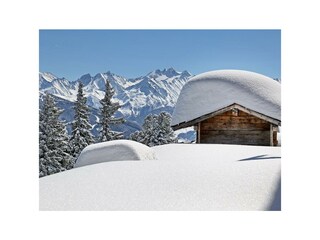 Pulverschnee Hochzillertal