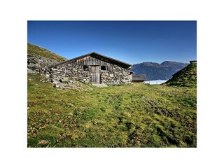 Almwanderung in der Region Hochzillertal