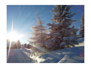 Winterlandschaft Hochzillertal