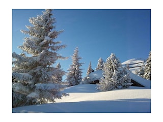 Winterlandschaft