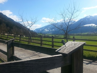 Spaziergang in Hart