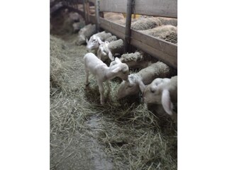 IMG_20220212_180352554_PORTRAIT