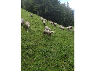 IMG_20210808_133425079