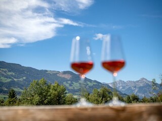 Bockstecken_Stumm_im_Zillertal_09_2023_Balkon_Deta