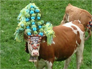 IMG-20150919-WA0011(1)