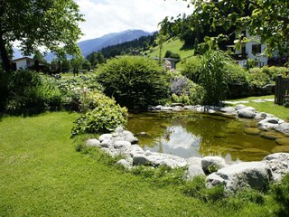 Teich mit Goldfischen