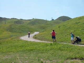 Wanderweg + Fahrradeweg Spieljoch