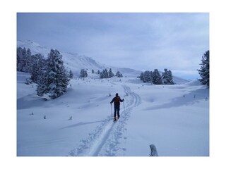 Winterfoto