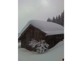 Winterfoto