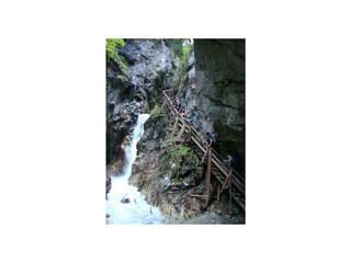 Ausflug Wolfsklamm 2013 082 (22)