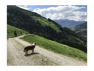 Wanderung Torhelm Gerlos
