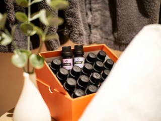 Appartement_Krismer_Hilebrandweg_28_Fuegen_Infraro