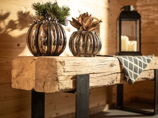 lodge-tirol-zillertal-17