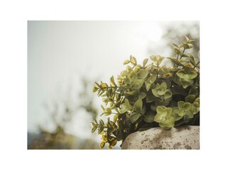 2017.10.12_gaestehaus.christoph.014_web