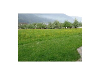 wintergartenausblick