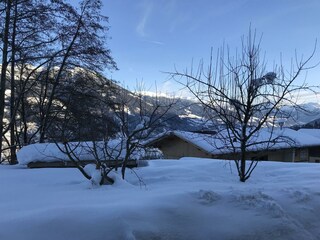 IMG_1137