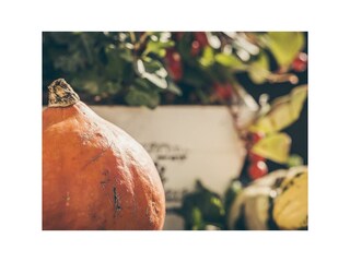 2017.10.12_gaestehaus.christoph.023_web