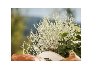 2017.10.12_gaestehaus.christoph.025_web