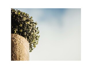 2017.08.07_gaestehaus.christoph_006.web