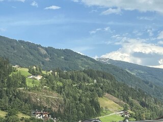 IMG_4222