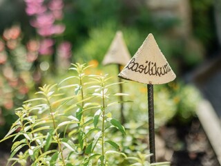 Kräutergarten Detail (2)