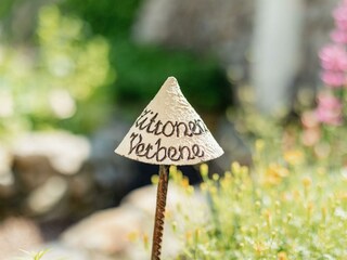 Kräutergarten Detail (3)