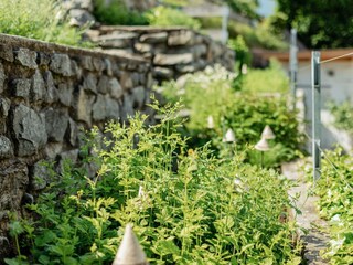 Kräutergarten Detail (5)