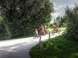 Biken_Sommer_c_Andi_Frank (9)