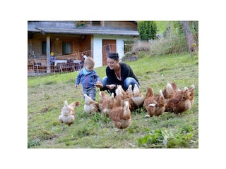Tiere am Bauernhof2
