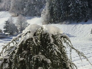 F6AB7788-834F-417E-93B0-D6C2CC0C39E3