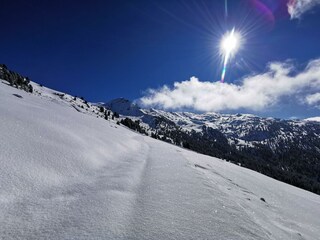 Natur_2