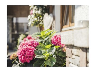 2018.07.25_haus.christine.sommer_001.booking