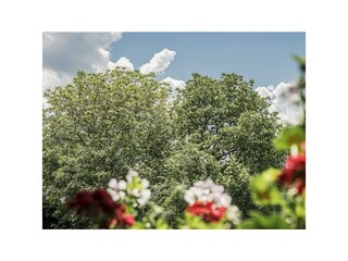 Aussicht von Balkon groß Taxach