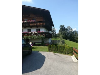 Bilder Handy Lisi 695