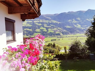 Ausblick