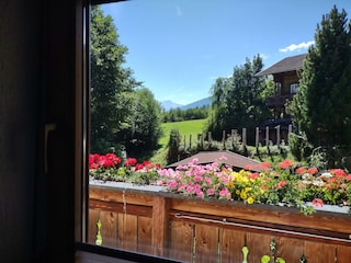 IMG_20220823_125723650