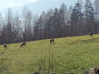 IMG_20230308_104408620