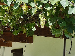 IMG_20230904_123331169