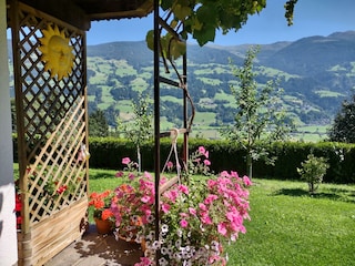 IMG_20230904_123448950_HDR